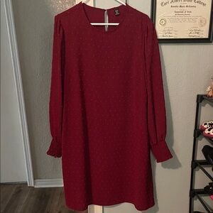 Elegant Red Long-Sleeve Dress